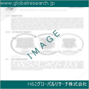 グローバルリサーチ調査資料のイメージ